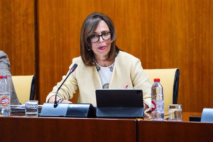 La consejera de Fomento de la Junta de Andalucía, Rocío Díaz, en la comisión de este 9 de mayo en el Parlamento andaluz.