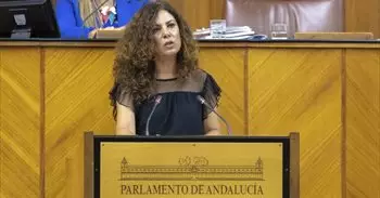 El Parlamento andaluz aprueba la iniciativa de Vox para la creación de un servicio para la protección de la maternidad