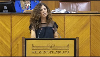 El Parlamento andaluz aprueba la iniciativa de Vox para la creación de un servicio para la protección de la maternidad