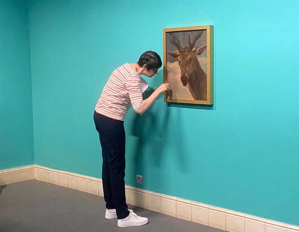 El cuadro 'Cabeza de venado' de Velázquez ya cuelga en el Museo de Bellas Artes de Santa Cruz de Tenerife