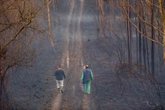 Foto: La pérdida de biodiversidad contribuye a un incremento de las enfermedades infecciosas, según un estudio en Nature