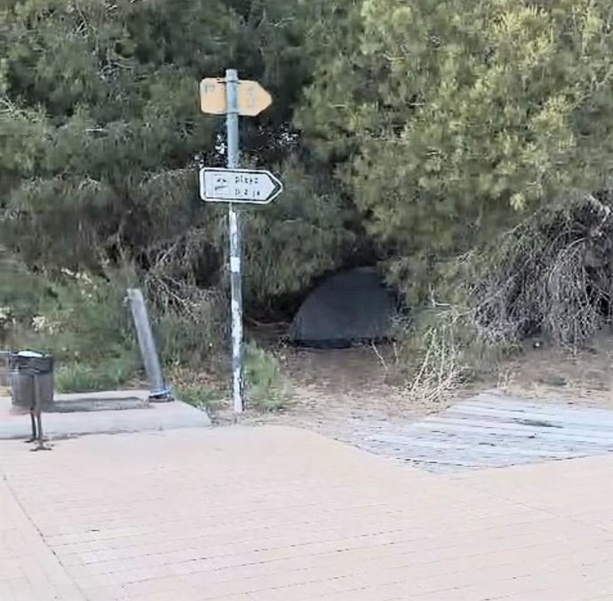 Campament il·legal desmantellat a la Devesa, a València