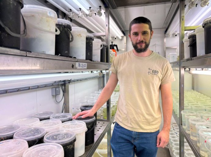 El investigador Pablo Burraco, en una de las cámaras climáticas de la Estación Biológica de Doñana donde está desarrollando uno de los experimentos.