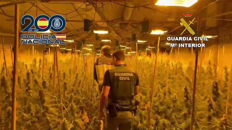 Imagen de los agentes en la plantación