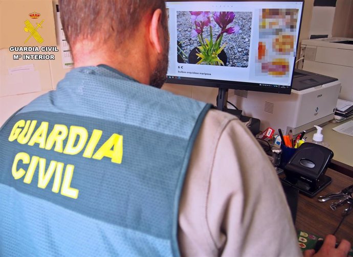 La Guardia Civil investiga la venta de flora por Internet