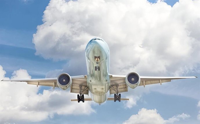 Pseudomonas putida es un microorganismo útil para producir isoprenol, el precursor del combustible de aviación sostenible, debido a su capacidad para utilizar fuentes renovables de carbono.