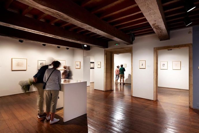 Archivo - Museo de Bellas Artes