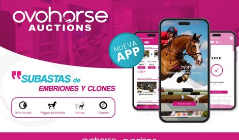 Comunicados Sociedad