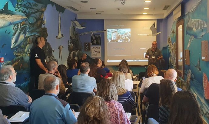 La Conselleria de Agricultura, Pesca y Medio Natural organiza en Palma el II Workshop de Nidificación de Tortugas Marinas en España