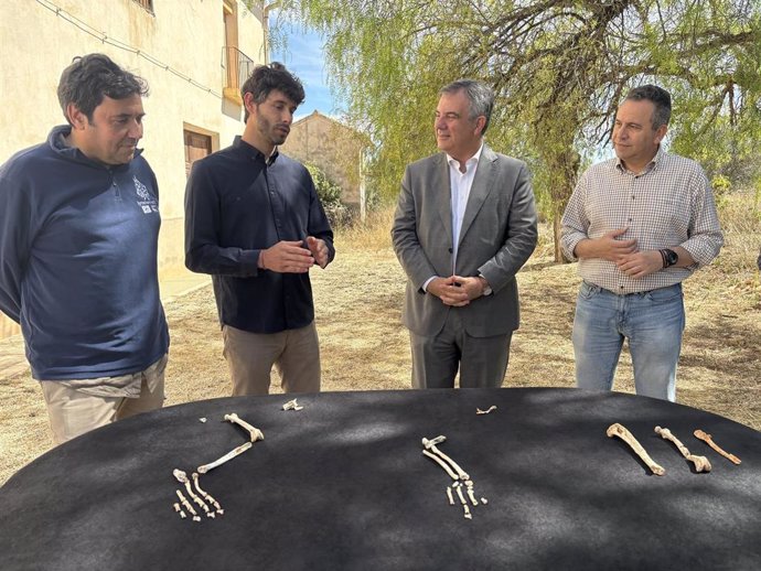 El consejero de Medio Ambiente, Universidades, Investigación y Mar Menor, Juan María Vázquez, observa algunos de los restos de lince ibérico hallados en el Yacimiento de Quibas.