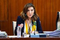 La Junta agradece a las partes que hayan aceptado la propuesta de mediación de la Consejería en Acerinox