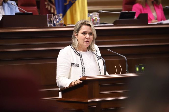 La diputada del PSOE, Alicia Vanoostende