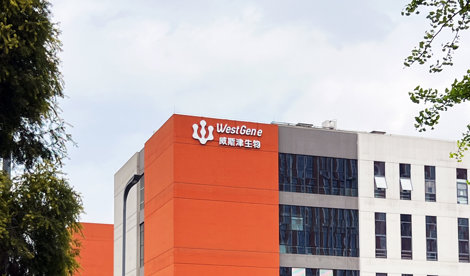 Comunicados Internacional