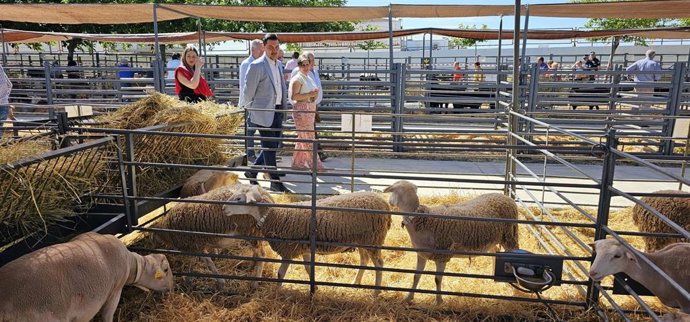 Visita a la 42ª Feria Ganadera de La Carolina.