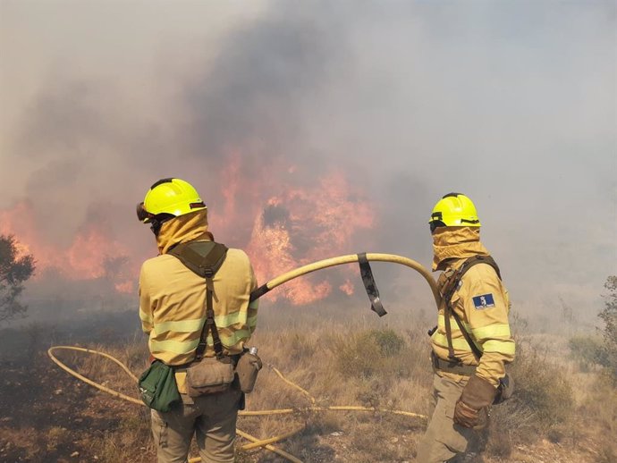 Archivo - Bomberos forestales.