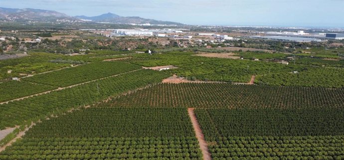 Terrenos que se verían afectado por la planta fotovoltaica