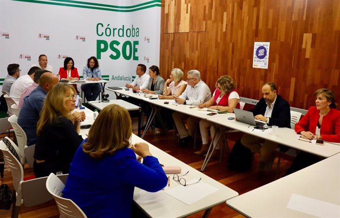 Crespín (al fondo, centro) activa el comité de campaña del PSOE a nivel provincial para el 9J.
