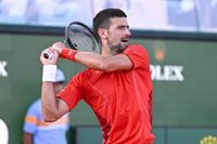 Djokovic entra en Roma con una buena versión y sale con un botellazo
