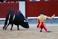 Animalistas piden este domingo en la Plaza Mayor en fin de las corridas de toros coincidiendo con la feria de San Isidro