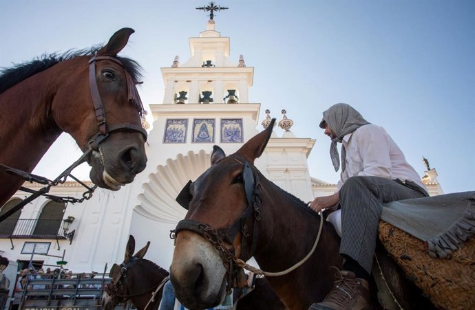 Archivo - Caballos en El Rocío, imagen de archivo. 