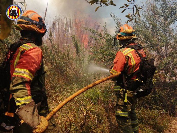 Bomberos sofocan un incendio forestal en Alzira (Valencia)
