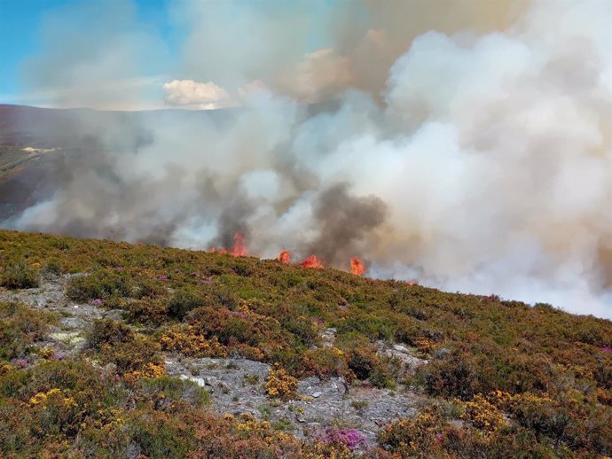 Incendio forestal en Chandevillar (León) que afecta a más de 20 hectáreas