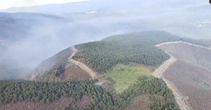 Foco en Primout del incendio forestal de Chandevillar, en León