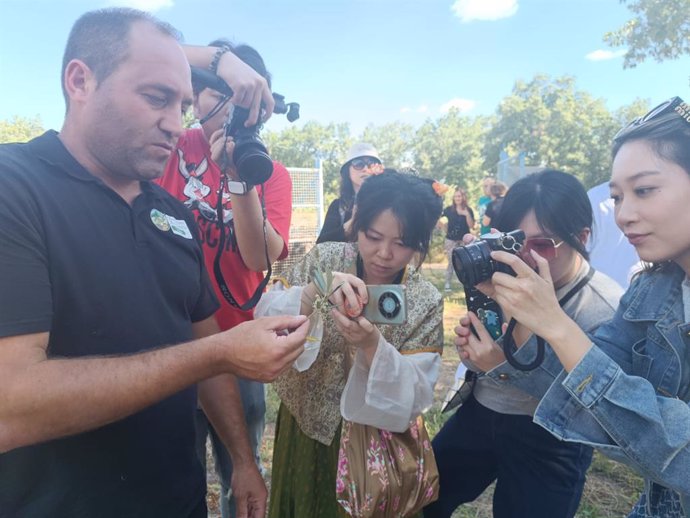 La delegación de influencers de China fotografía una rama de olivo
