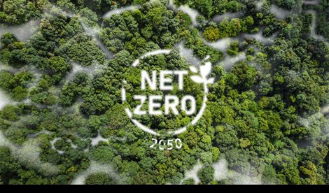 Comunicados Internacional