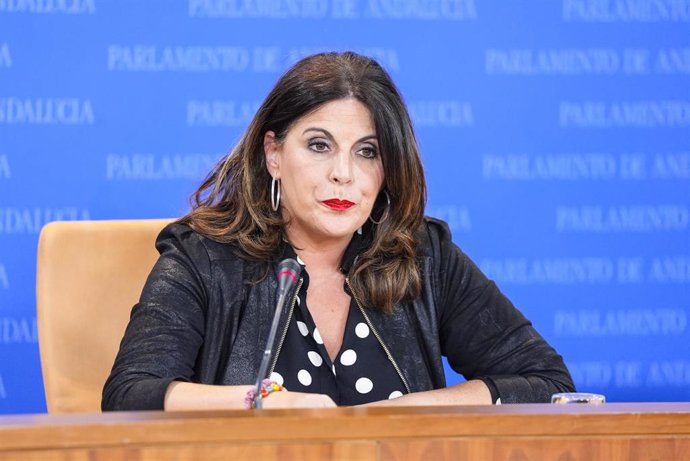 La portavoz del Grupo Parlamentario Socialista, Ángeles Férriz