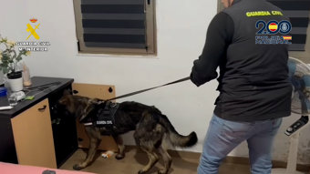 Registro por parte de los cuerpos policiales