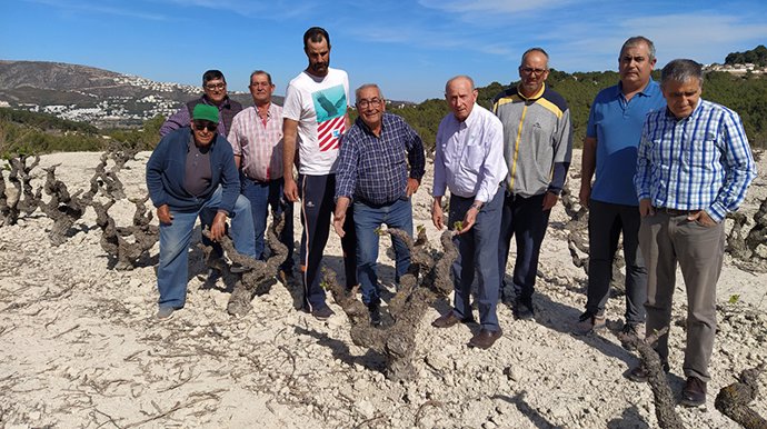 Agricultores en Teulada