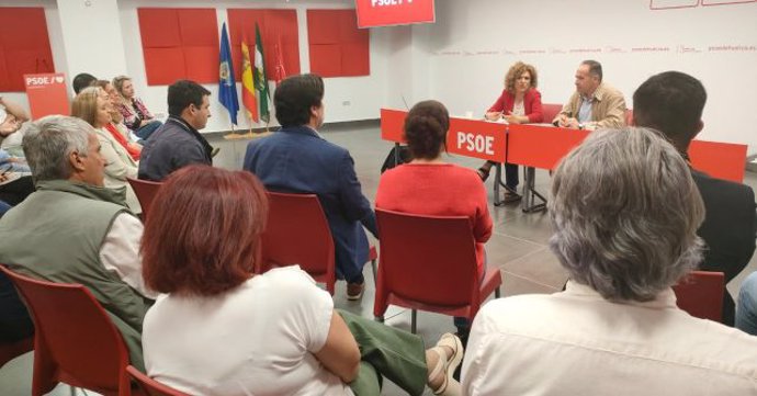 El secretario de Organización del PSOE de Andalucía, Jacinto Viedma, ha mantenido una reunión de trabajo, junto a la secretaria general del PSOE de Huelva, María Eugenia Limón, con los secretarios generales y de organización de la provincia,