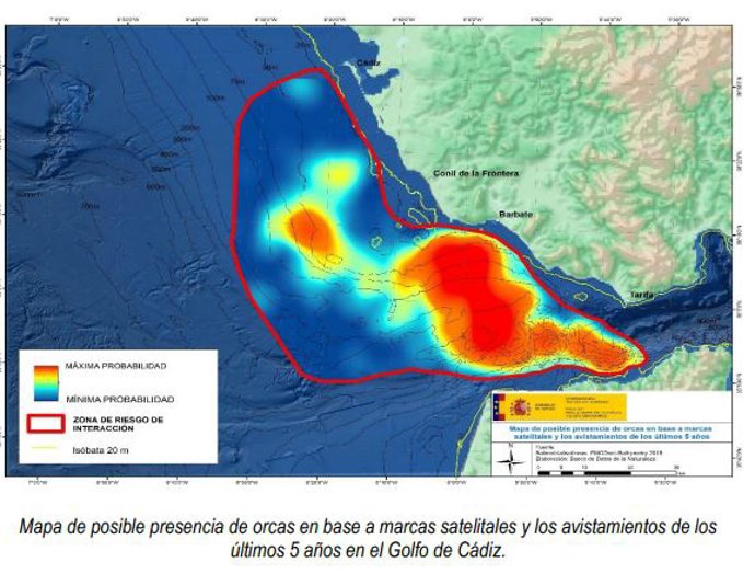 Mapa de posible presencia de orcas en base a marcas satelitales y los avistamientos de los últimos 5 años en el Golfo de Cádiz.
