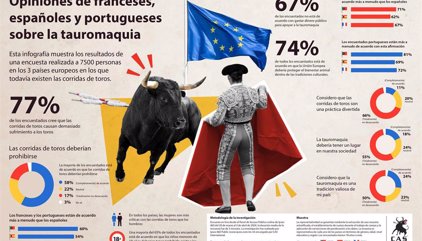 Más de la mitad de españoles, franceses y portugueses creen que las corridas de toros deben prohibirse, según estudio