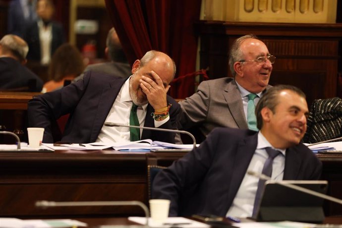 En la segunda fila, los diputados del Grup Parlamentari VOX Sergio Rodríguez (i), y Agustín Buades (d).