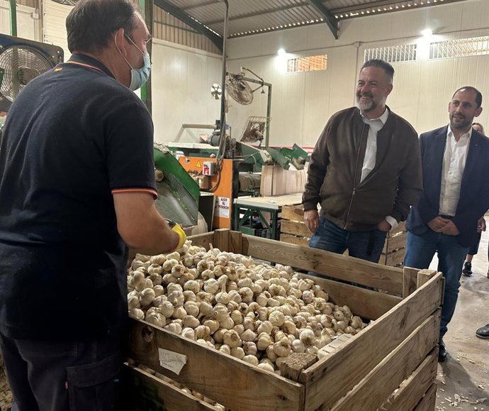 Pineda (centro), junto a Pérez (dcha.), en la visita en Montalbán a la empresa Ajos Bascón Roldán.