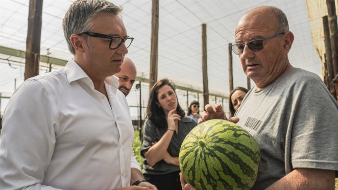 El portavoz del grupo parlamentario de Vox en Andalucía, Manuel Gavira, en un invernadero de Níjar (Almería).