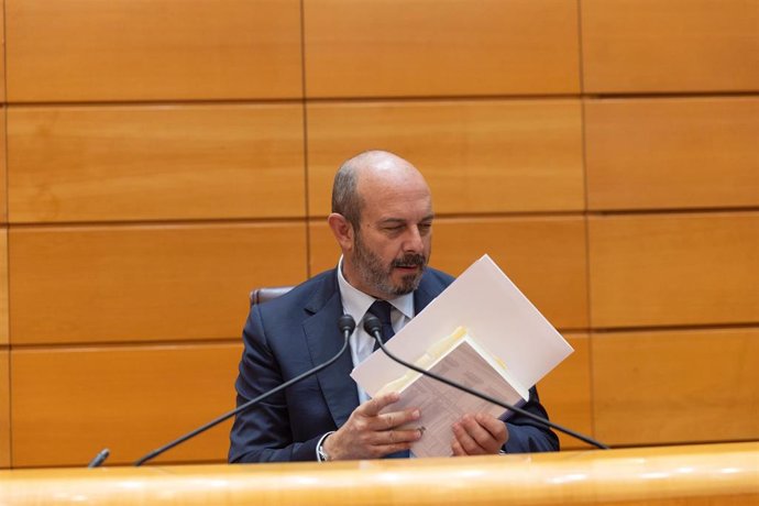 El presidente del Senado, Pedro Rollán, durante una sesión plenaria