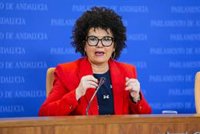 Adelante pide que el presidente del PP de Jaén deje el escaño por su audio sobre una plaza pública: "Clara corrupción"