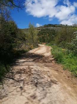 Sendero en Las Loras.