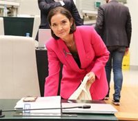 Maroto cree que el "proyecto alternativo al PP" que representa "se va consolidando" aunque "queda camino"