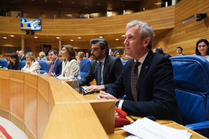 El presidente de la Xunta, Alfonso Rueda, en la sesión de control