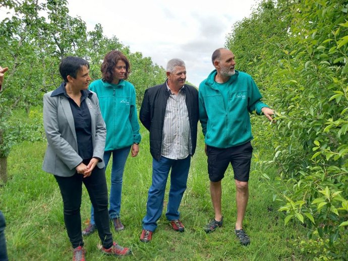 Catalunya crece un 4% en superficie agraria ecológica y un 6% en operadores en 2023