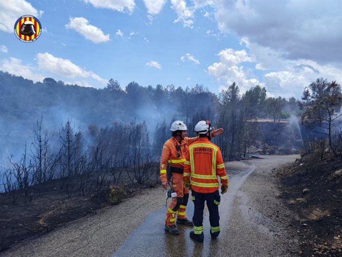 Bomberos trabajan en un incendio forestal en Montroi (Valencia)