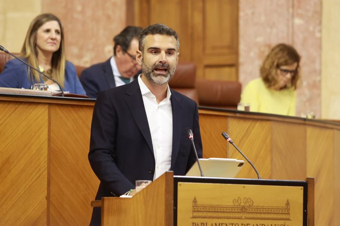 El consejero de Sostenibilidad, Medio Ambiente y Economía Azul, Ramón Fernández-Pacheco, comparece en el Pleno del Parlamento andaluz