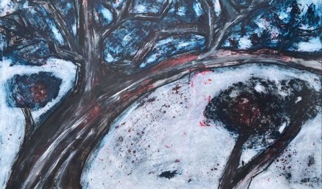 Comunicados Sociedad