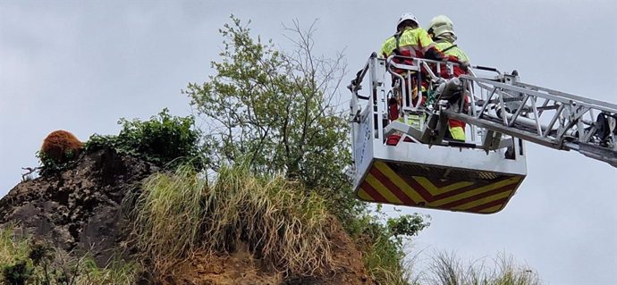 Bomberos del 112 rescatan un oso de un risco de Cabárceno