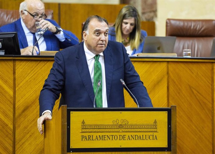 El consejero de Turismo, Cultura y Deporte, Arturo Bernal, comparece en el Pleno del Parlamento andaluz.