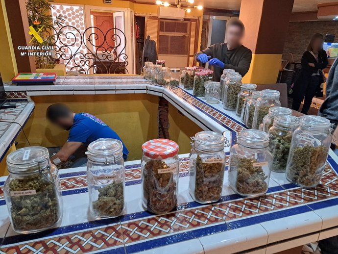 Desmantelan una asociación de cannabis que vendía droga a turistas en Torrevieja, con tres detenidos